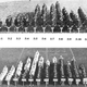 Illustration for article titled This human bar graph shows how we've grown taller over 80 years